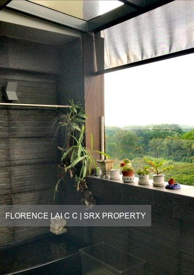 Blk 409 Jurong West Street 42 (Jurong West), HDB Executive #219010021